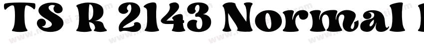 TS R 2143 Normal Regular字体转换